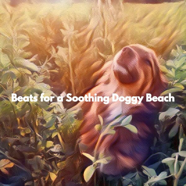 Beats for a Soothing Doggy Beach - Jazz for Work Playlist