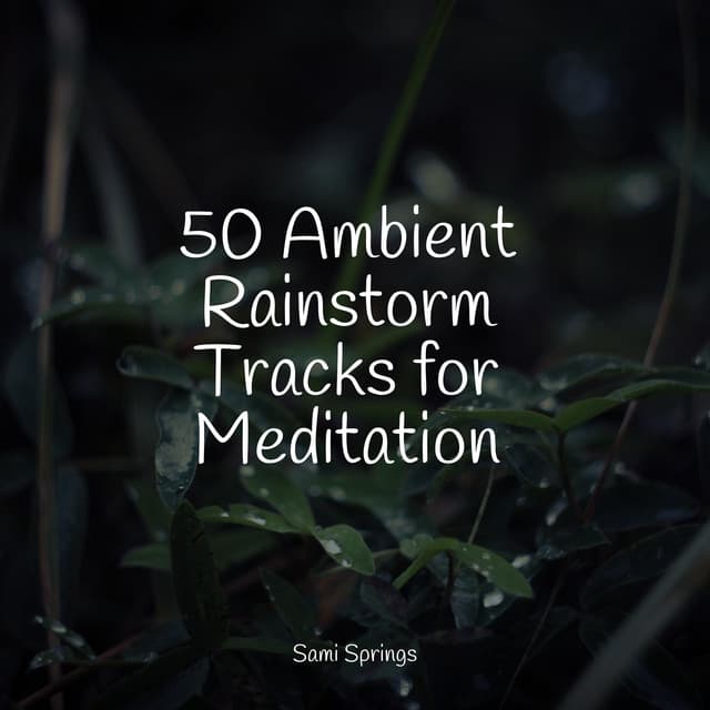 50 Ambient Rainstorm Tracks for Meditation - Meditation Music Club