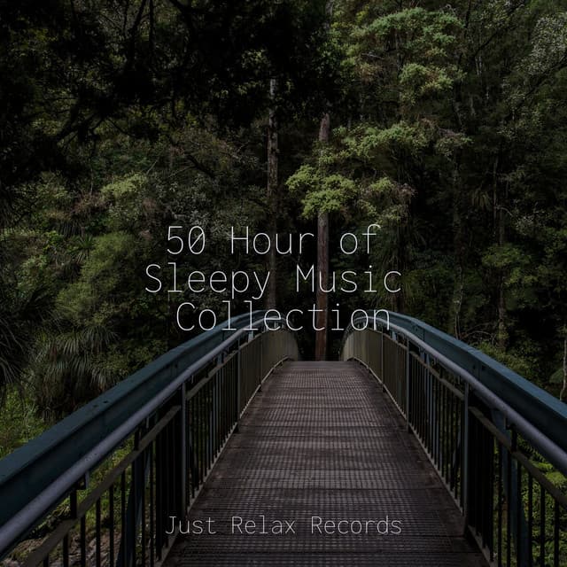 50 Hour of Sleepy Music Collection - Sonidos De Lluvia y Tormentas