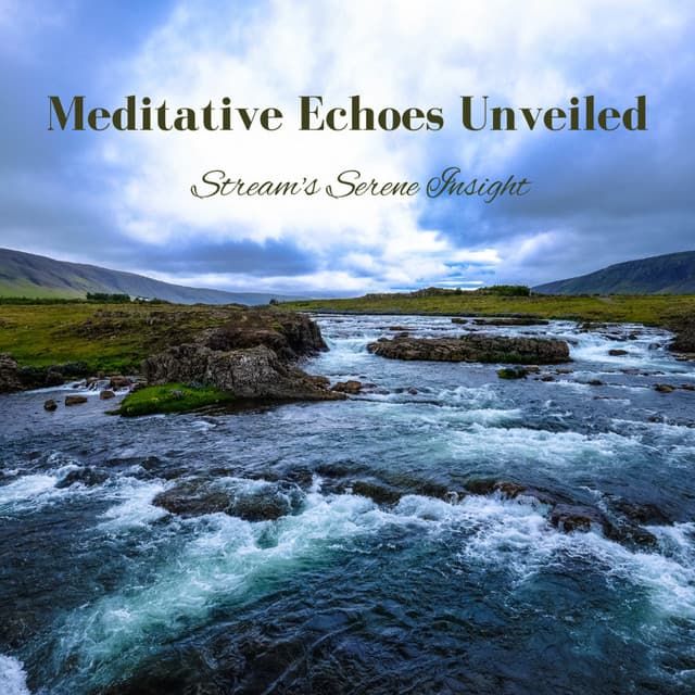 Meditative Echoes Unveiled: Stream's Serene Insight - Nature on Record