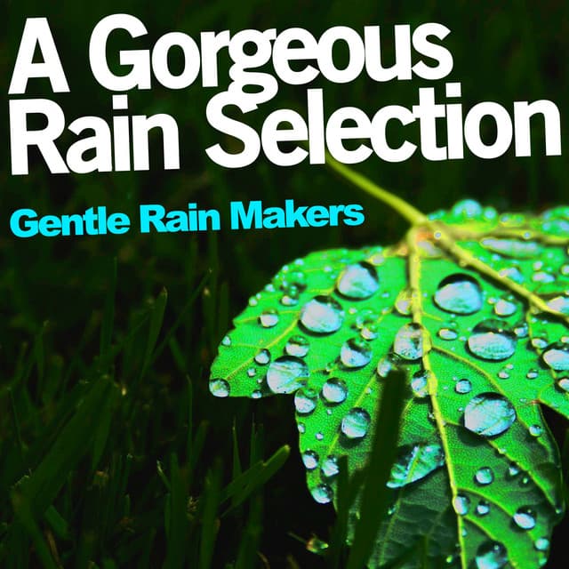 A Gorgeous Rain Selection - Gentle Rain Makers