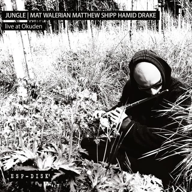 Live at Okuden - Mat Walerian