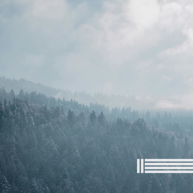 Forest Sounds, Birds Sounds - Birds In The Forest