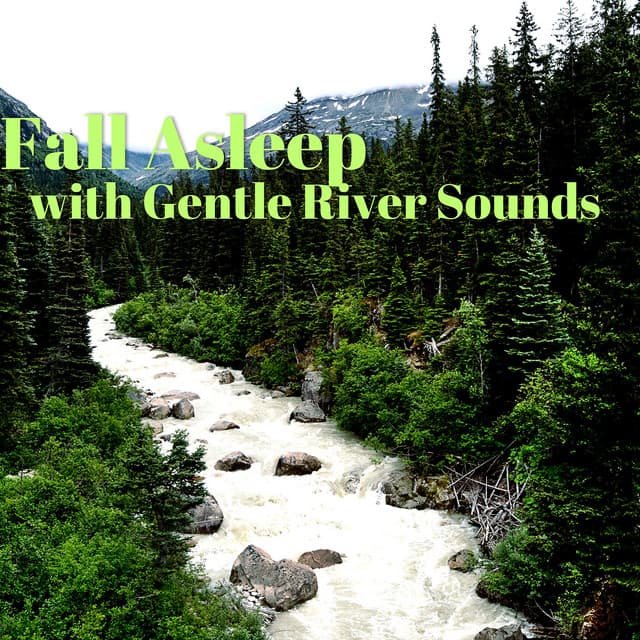 Fall Asleep with Gentle River Sounds - River Sleep Aid