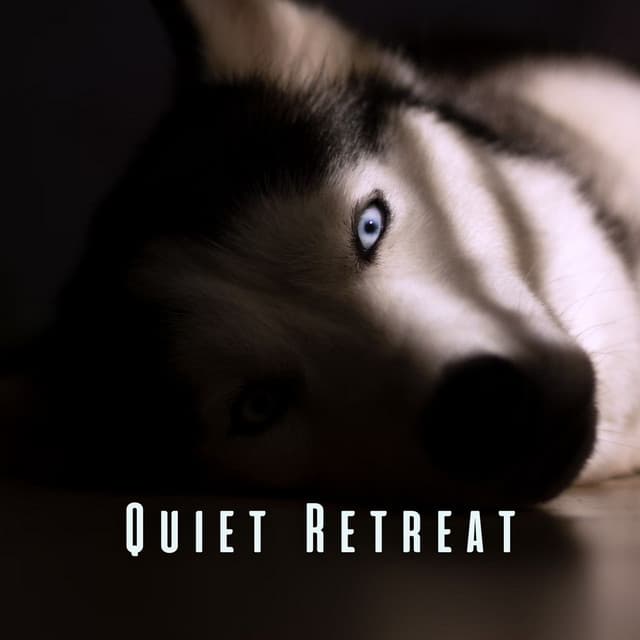 Quiet Retreat: Serene Melodies for Pet Meditation - Harmony for Pets