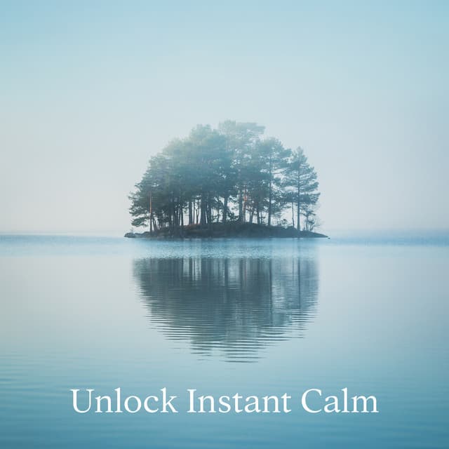 Unlock Instant Calm: Relief from Stress and Anxiety, Detox Negative Emotions - Ultimate New Age Academy
