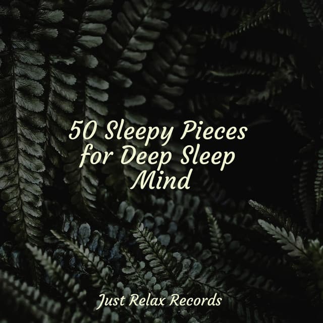 50 Sleepy Pieces for Deep Sleep Mind - Música Relajante para Bebés