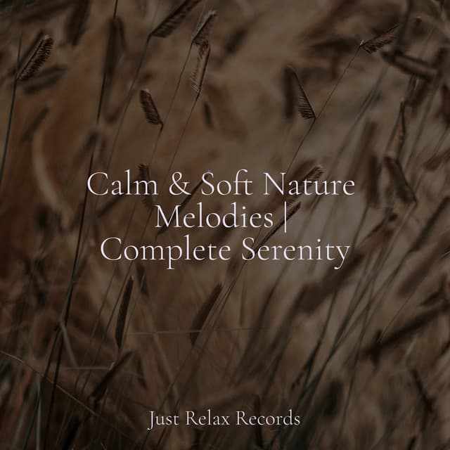 Calm & Soft Nature Melodies | Complete Serenity - Yoga Music