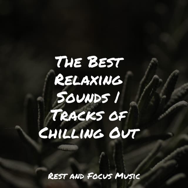 The Best Relaxing Sounds | Tracks of Chilling Out - Sleep Sound Library
