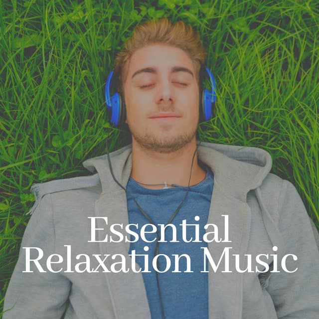 Essential Relaxation Music - Tranquility Spree