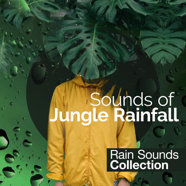 Sounds of Jungle Rainfall - Rain Sounds Collection