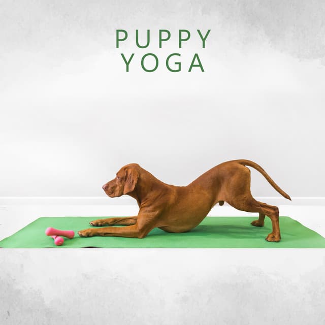 Puppy Yoga - Yoga