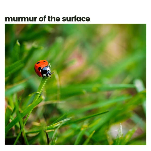 Murmur of the Surface - Sounds Of The Earth