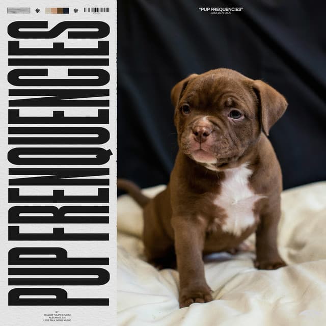 Pup Frequencies - Dog Sleep Academy
