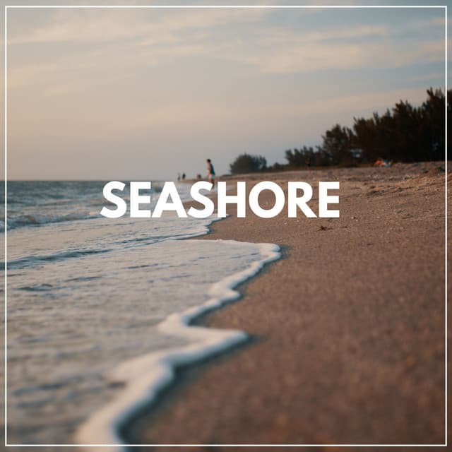 Seashore - ASMR Ocean Sounds