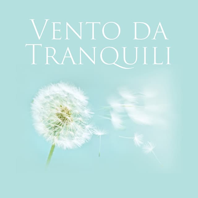 Vento da Tranquilidade - Natureza Musica Bem-Estar Academia