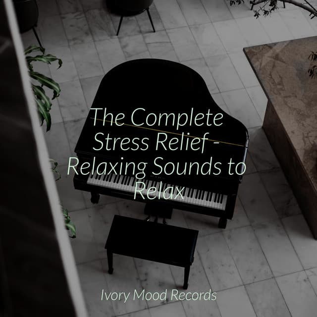The Complete Stress Relief - Relaxing Sounds to Relax - New Age