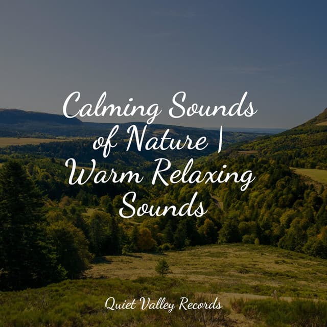 Calming Sounds of Nature | Warm Relaxing Sounds - Deep Relaxation Meditation Academy
