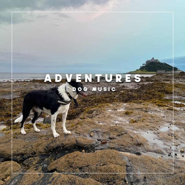Adventures - Dog Music