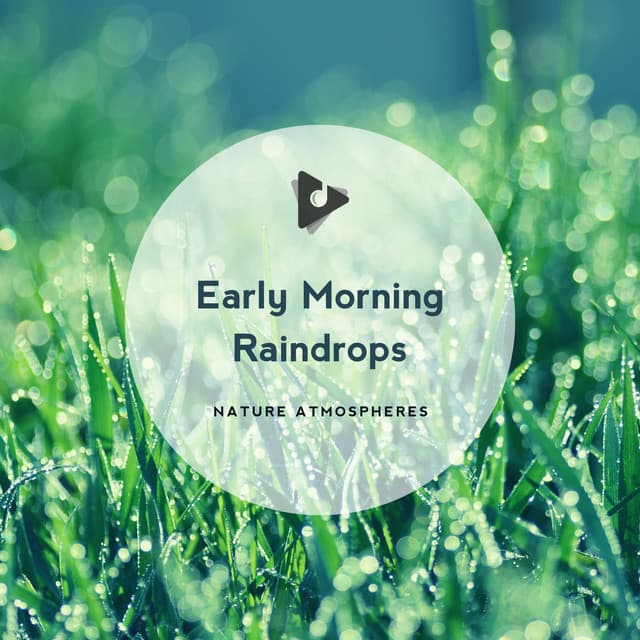 Early Morning Raindrops - The Rain Library