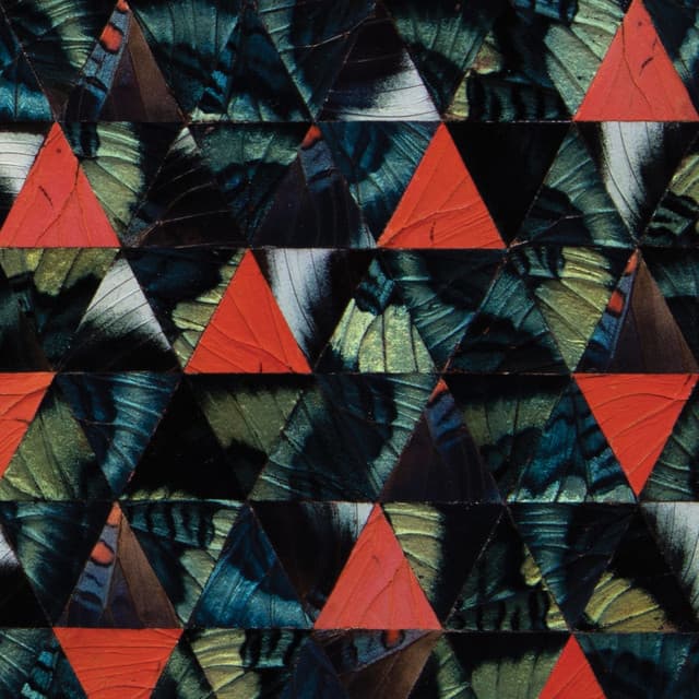 Diatom Ribbons - Kris Davis