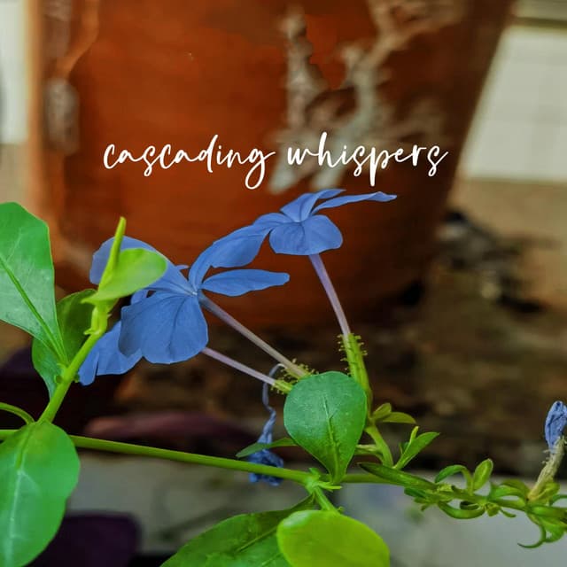 Cascading Whispers - PurePiano