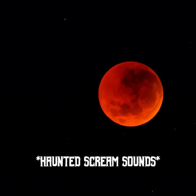 * Haunted Scream Sounds * - The Haunted House of Horror Sound Effects