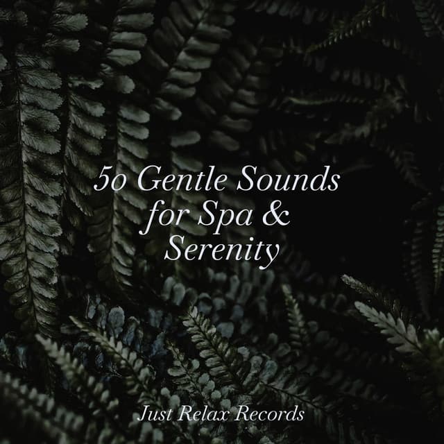 50 Gentle Sounds for Spa & Serenity - Yoga Music