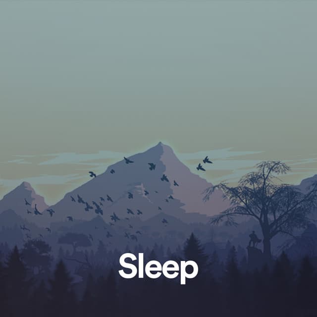 Binaural Beats Sleep - Beats Binaural