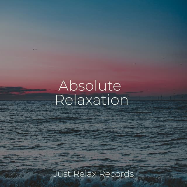 Absolute Relaxation - Musica para Bebes