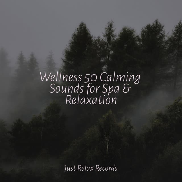 Wellness 50 Calming Sounds for Spa & Relaxation - Música Relajante para Bebés