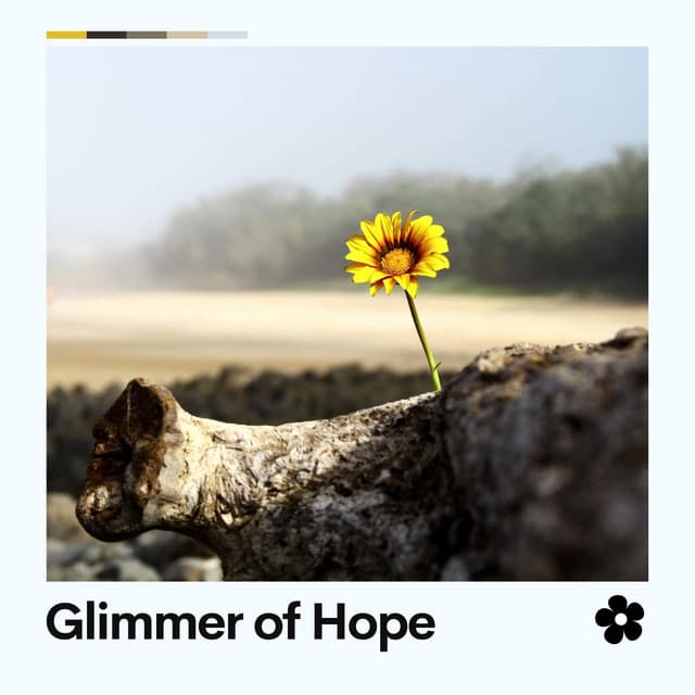 Glimmer of Hope - Calming Music Academy