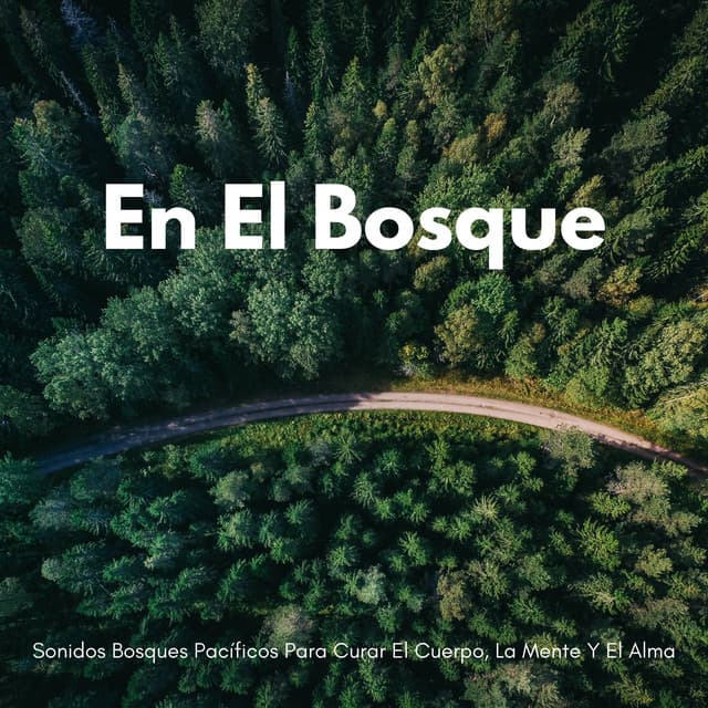 En El Bosque: Sonidos Bosques Pacíficos Para Curar El Cuerpo, La Mente Y El Alma - Bosque ambiental