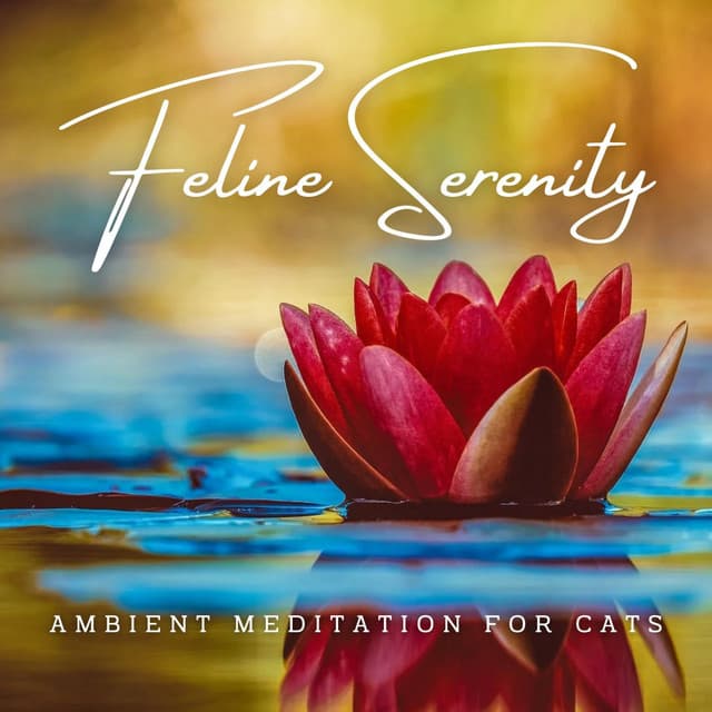 Aqueous Feline Serenity: Ambient Meditation for Cats - Ocean