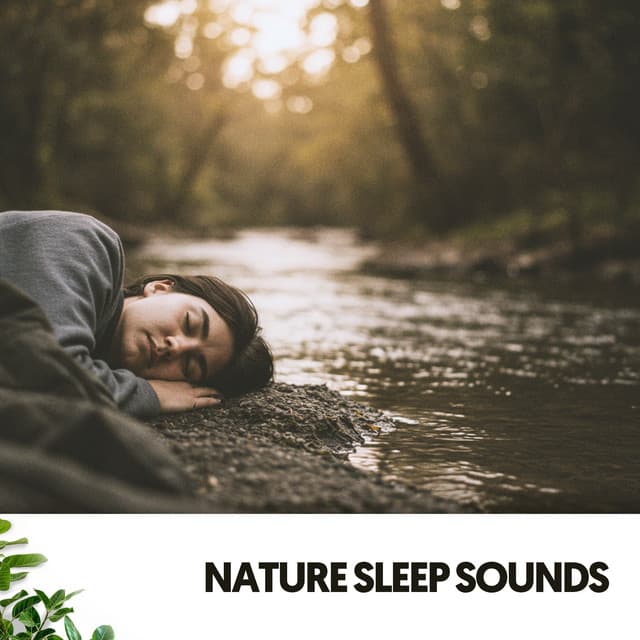 Nature Sleep Sounds: Dreamscapes by the River - Música Relajante Para Leer