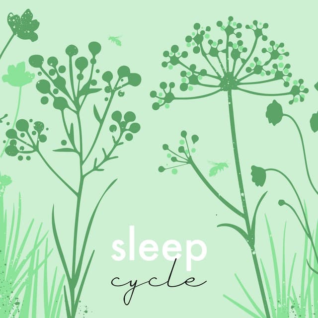 Música para dormir, alivio del estrés - Canciones Infantiles Bebe TaTaTa