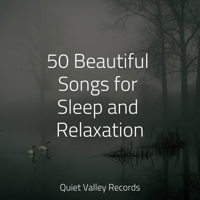 50 Beautiful Songs for Sleep and Relaxation - Sleep Tight