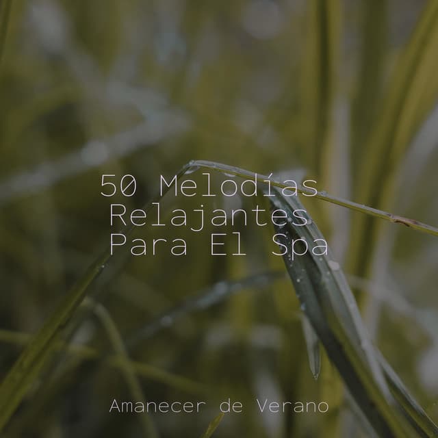 50 Melodías Relajantes Para El Spa - Canciones de Cuna para Bebés Acadèmico