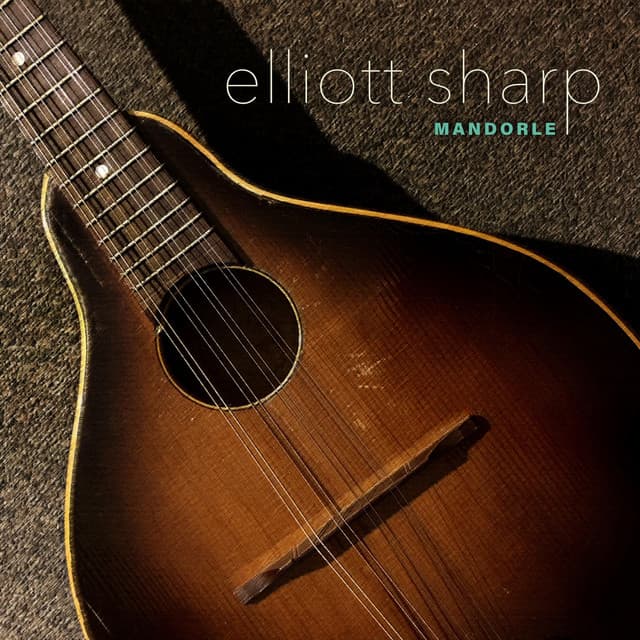 Mandorle - New Music for Mandolin - Elliott Sharp