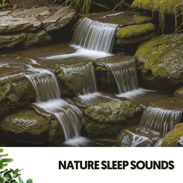 Nature Sleep Sounds: Harmony of the Earth's Lullabies - Dog Relaxation