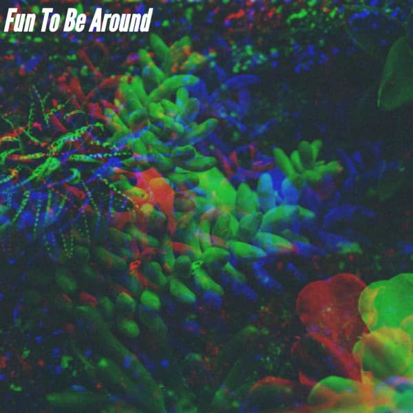 Fun To Be Around - Reading Background Music Playlist