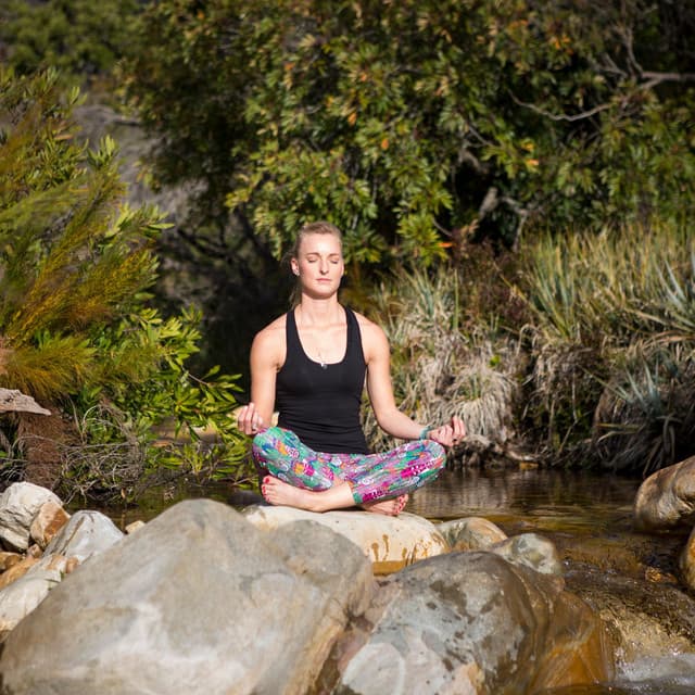 Riverside Zen: Nature's Meditation in the Forest - River Dreams Catalog