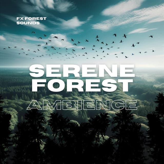 Serene Forest Ambience - FX Forest Sounds