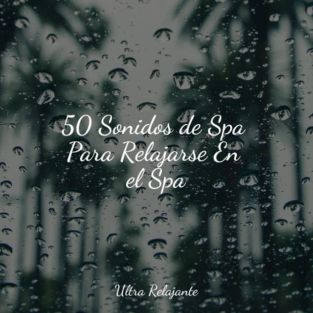 50 Sonidos de Spa Para Relajarse En el Spa - Música para Dormir Con Relajantes Sonidos de la Naturaleza