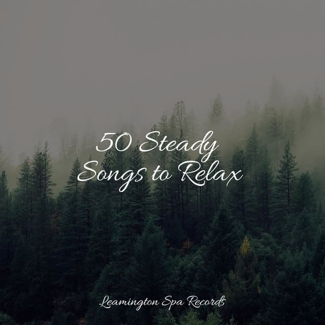 50 Steady Songs to Relax - Mother Nature FX