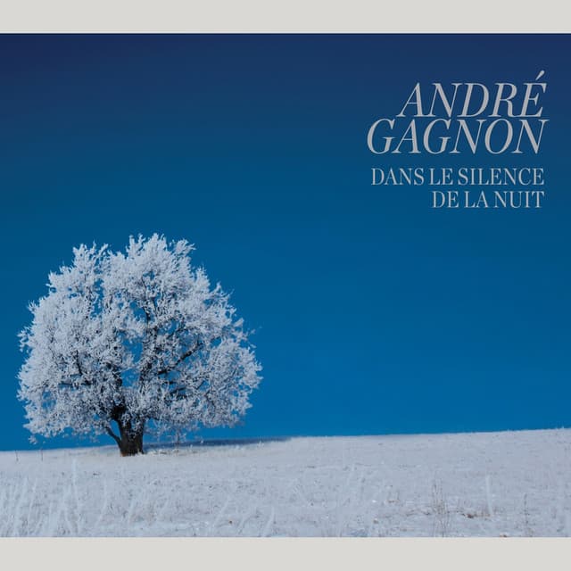 Dans Le Silence De La Nuit - André Gagnon