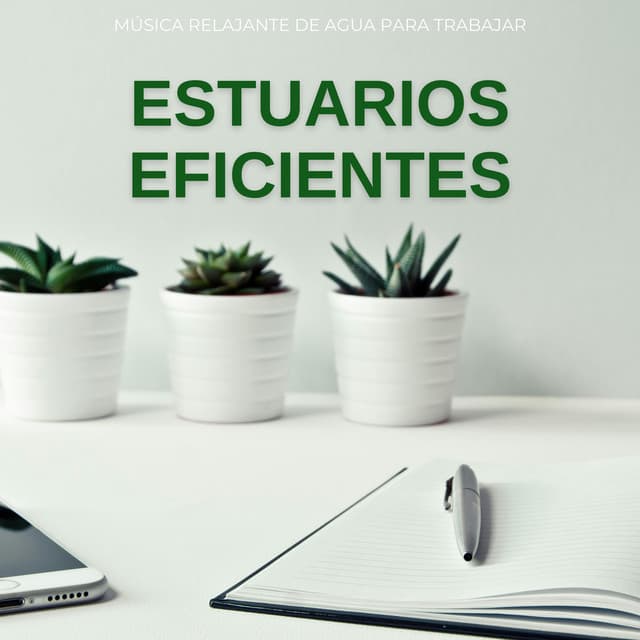 Estuarios Eficientes: Música Relajante De Agua Para Trabajar - Los paisajes sonoros de la naturaleza