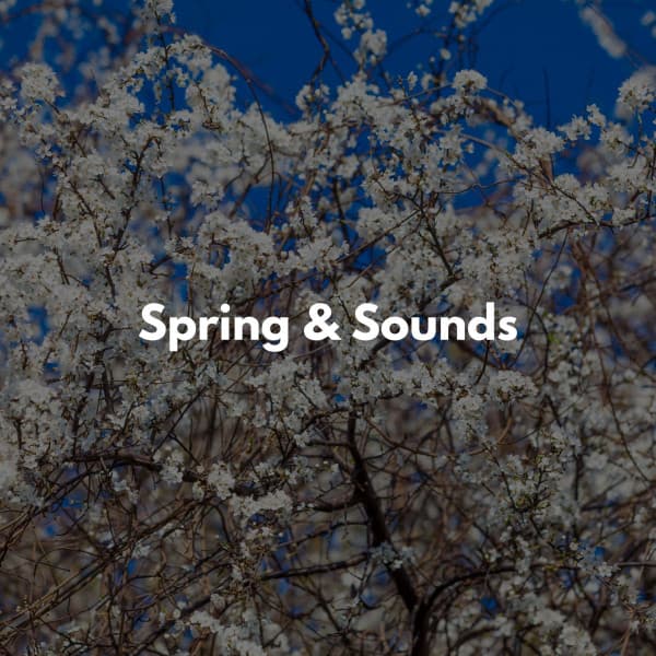 Active Explorer Music - Chilled Morning Music