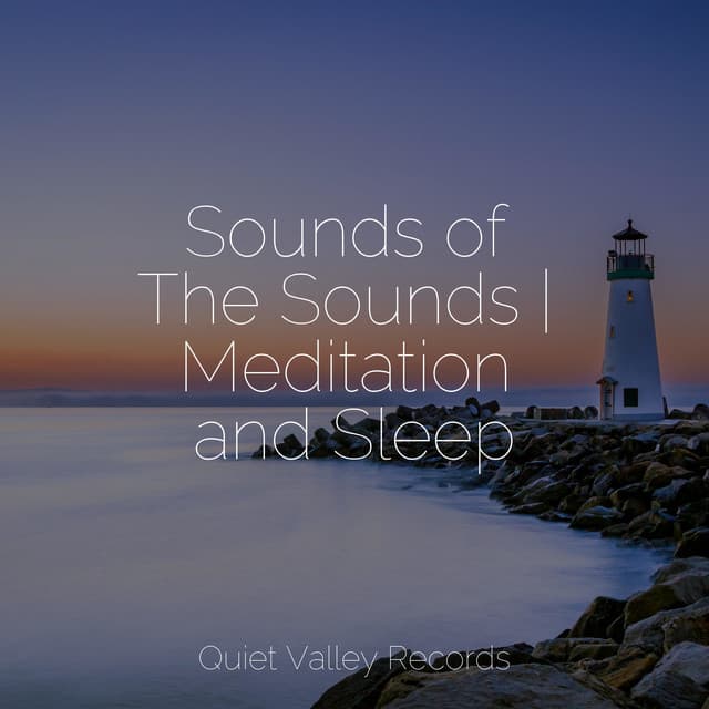 Sounds of The Sounds | Meditation and Sleep - Nature Sounds XLE Library