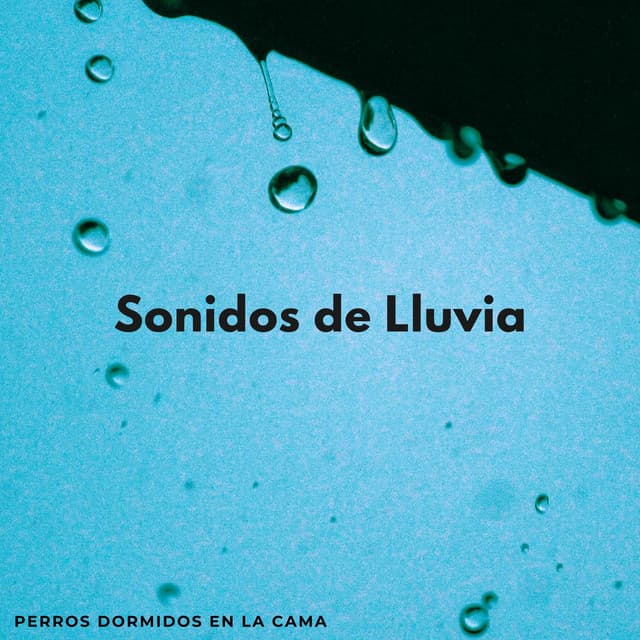 Sonidos De Lluvia: Perros Dormidos En La Cama - Relajarse Lluvia